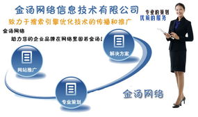 金湯網(wǎng)絡(luò)信息技術(shù) 助您品牌固若金湯的SEO解決方案